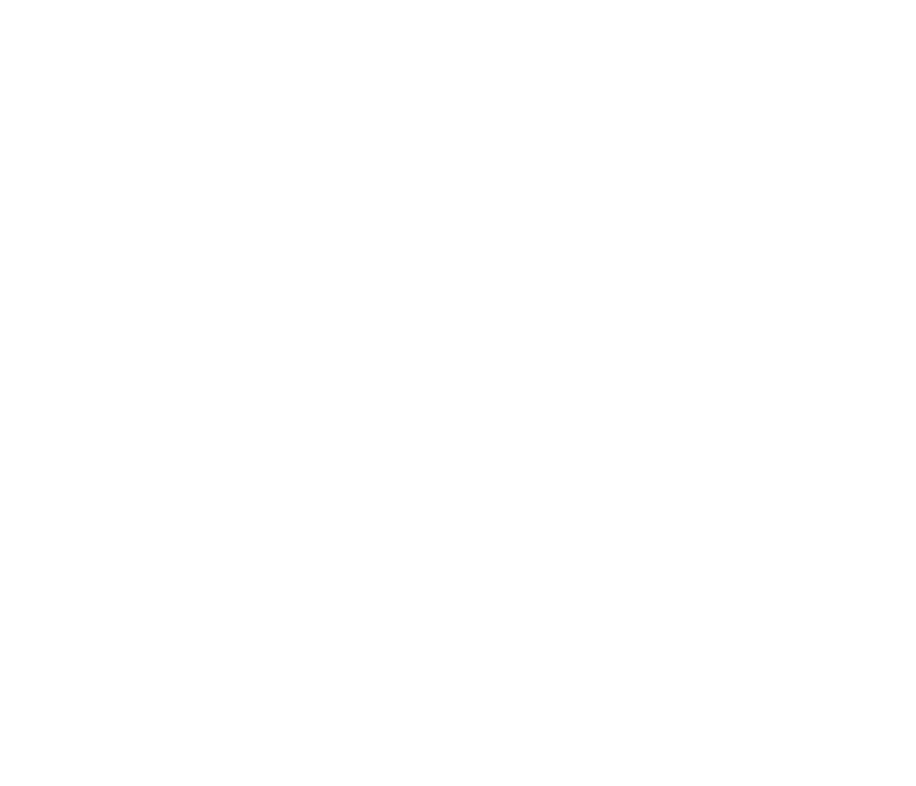 Flow IV Inc.
